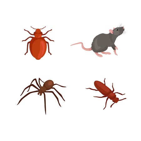 pest extermination in WNY