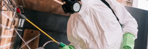 Why You Should Hire a Professional Exterminator