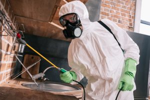 Why You Should Hire a Professional Exterminator 